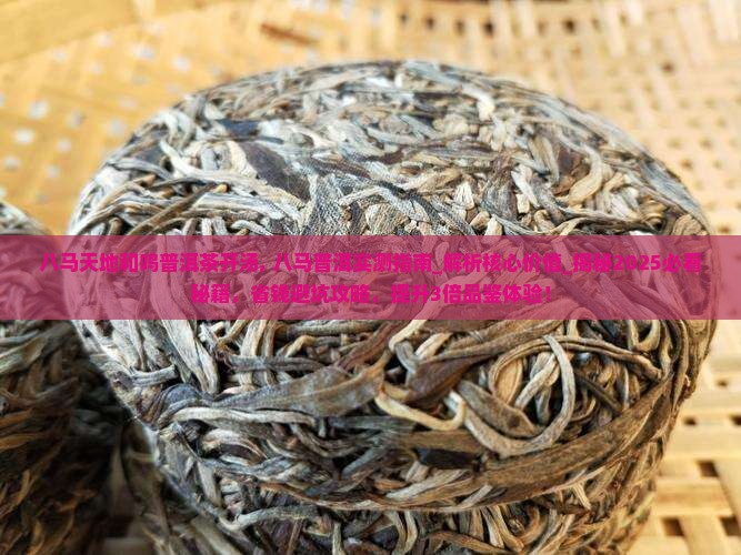 八马天地和鸣普洱茶开汤