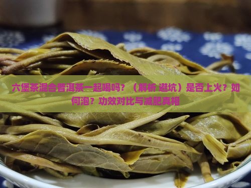 六堡茶混合普洱茶一起喝吗