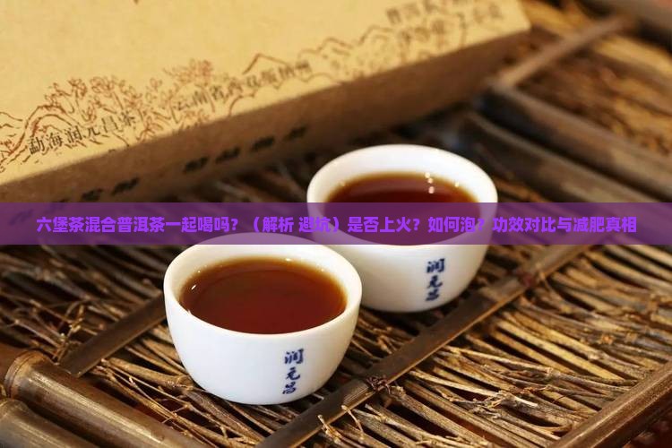六堡茶混合普洱茶一起喝吗
