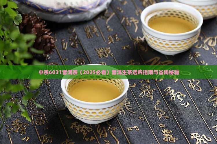 中茶6031普洱茶