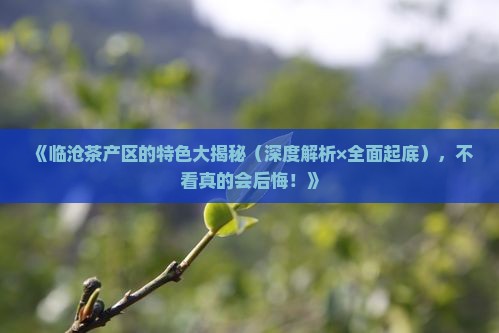 临沧茶产区的特点是什么