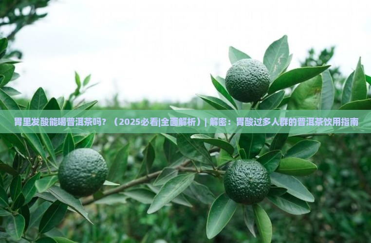 胃里发酸能喝普洱茶吗
