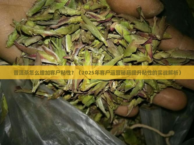 普洱茶怎么增加客户粘性