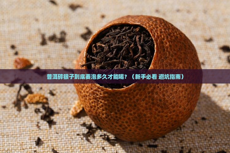 普洱碎银子泡多久多久才可以喝