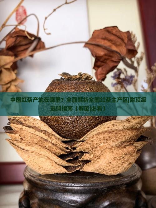 中国红茶产地在哪里