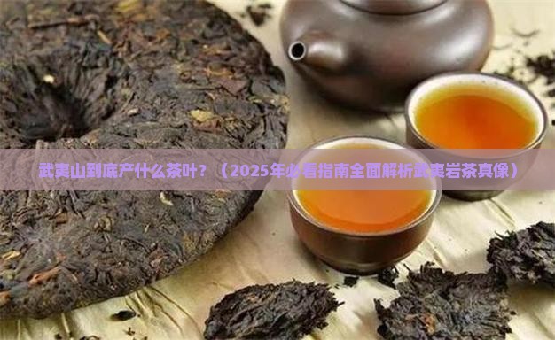 武夷山生产什么茶叶