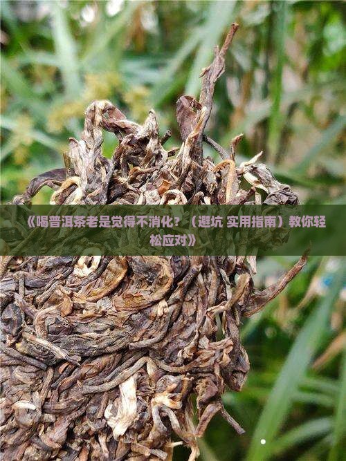 喝普洱茶不易消化怎么办