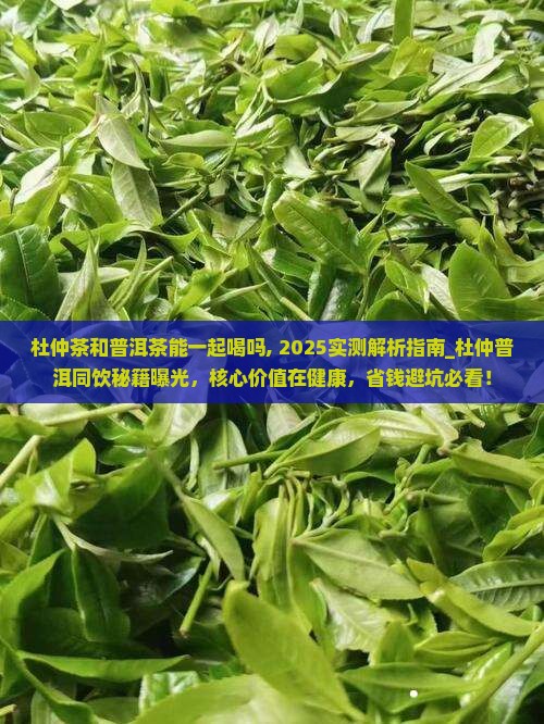 杜仲茶和普洱茶能一起喝吗 杜仲茶和普洱茶能一起喝吗
