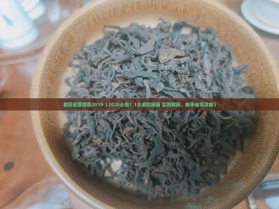 老同志普洱茶2019