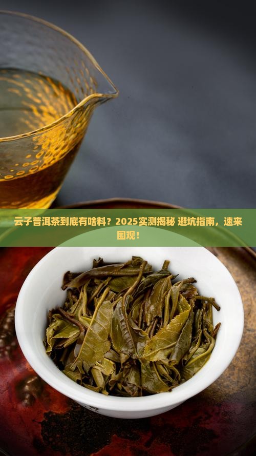 云子普洱茶真的么