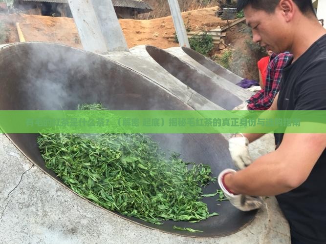 有毛的红茶是什么茶