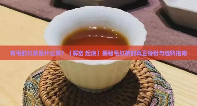 有毛的红茶是什么茶