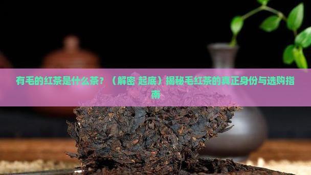 有毛的红茶是什么茶
