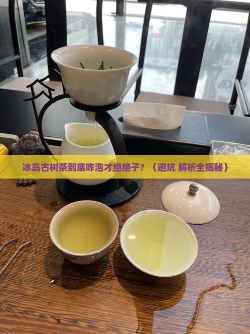 冰岛古树茶怎么泡好喝