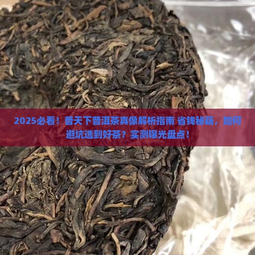 普天下普洱茶怎么样