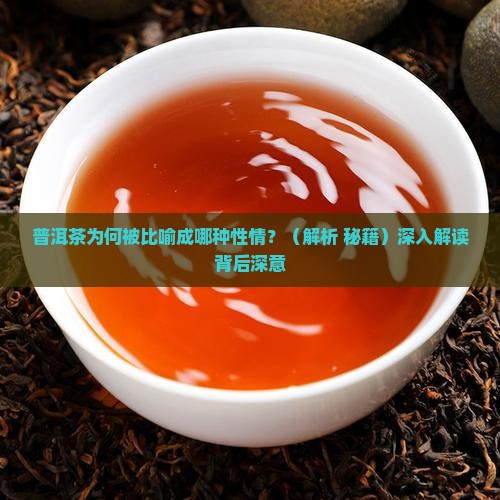 普洱茶比喻哪种性情好