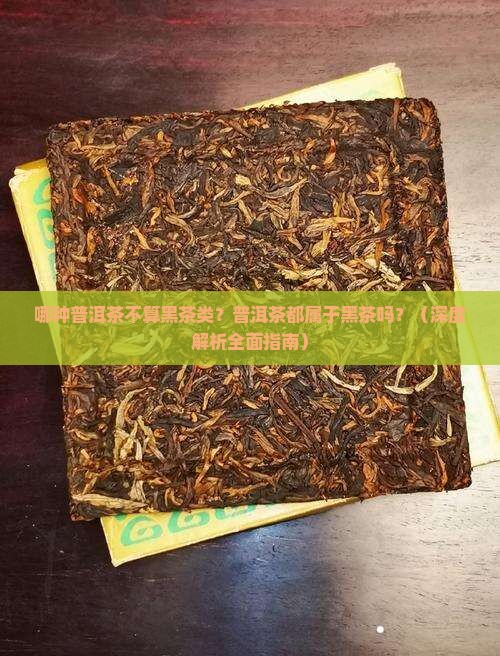哪种普洱茶不算黑茶类