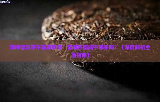 哪种普洱茶不算黑茶类