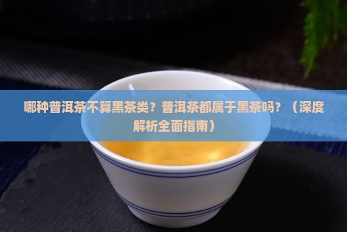 哪种普洱茶不算黑茶类