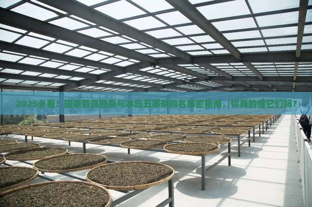 班章普洱熟茶冰岛五寨茶排名