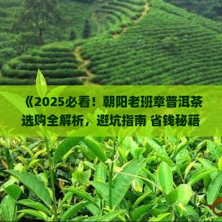 朝阳老班章普洱茶
