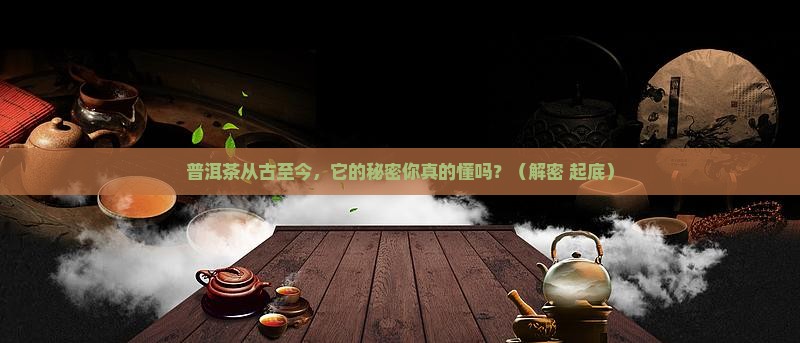 普洱茶的历史和分布