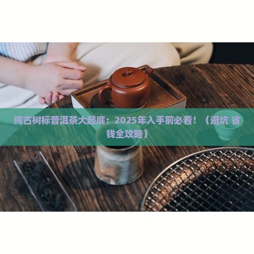 纯古树标普洱茶 纯古树标普洱茶