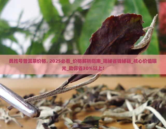 勇胜号普洱茶价格