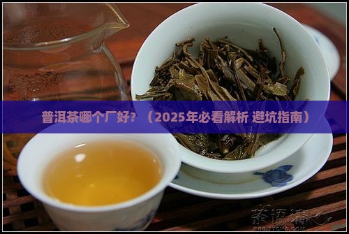 普洱茶哪个厂好