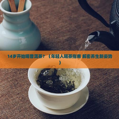 14岁喝普洱茶