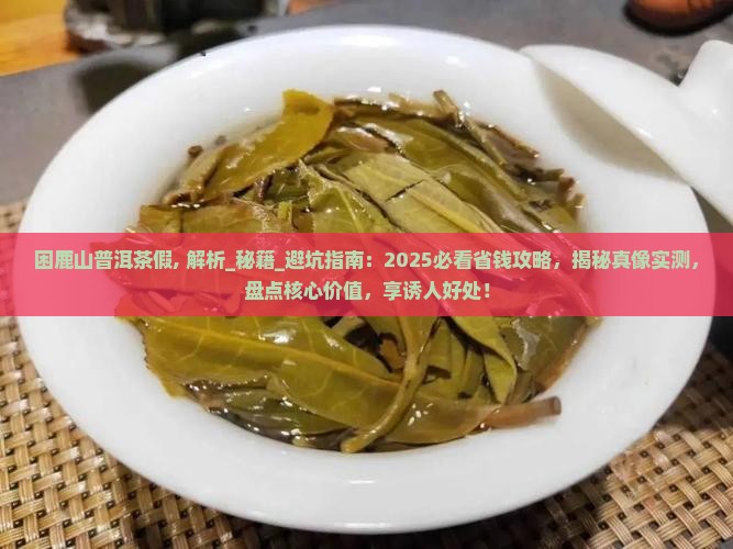 困鹿山普洱茶假