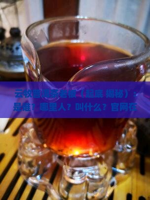云牧普洱茶老板