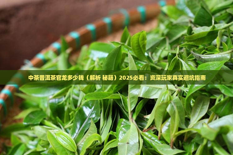 中茶普洱茶官龙多少钱
