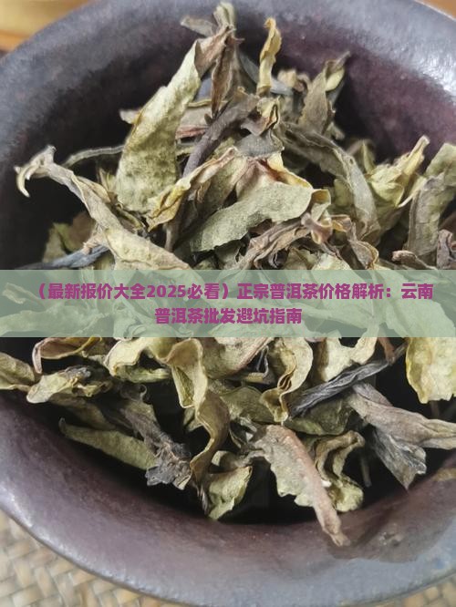 正宗普洱茶价钱