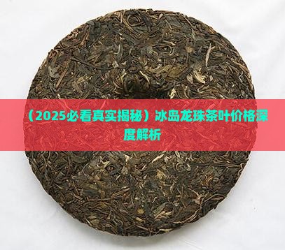 1988年冰岛龙拄茶