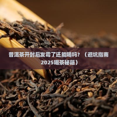 普洱茶开封后发霉了能喝吗