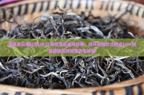 普洱茶云南抖音