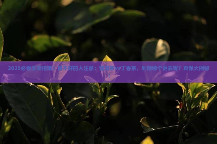 普洱茶丁香茶谁更养胃