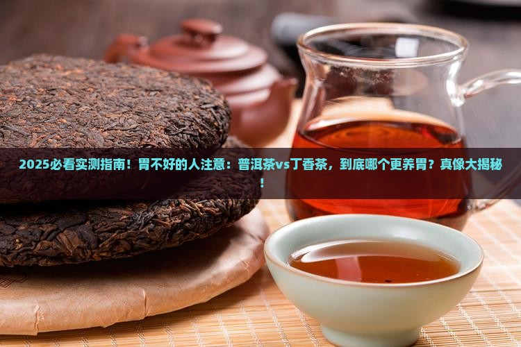 普洱茶丁香茶谁更养胃