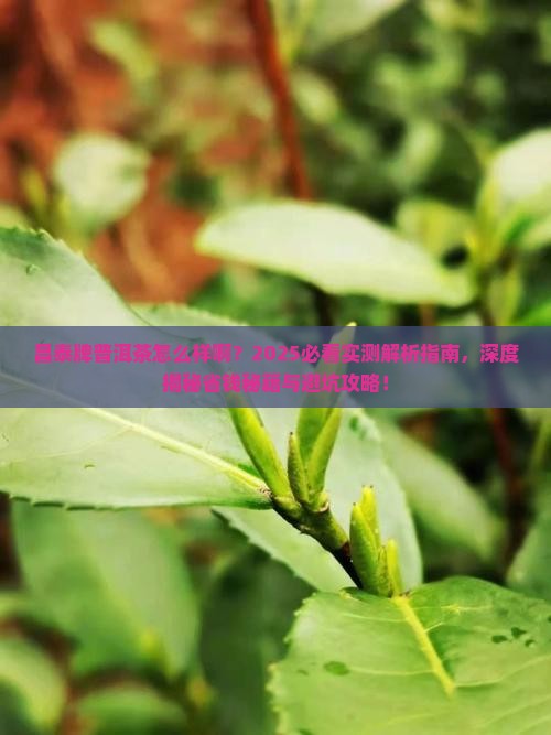 昌泰牌普洱茶怎么样啊