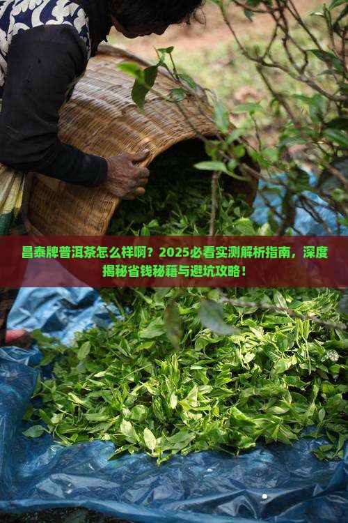 昌泰牌普洱茶怎么样啊
