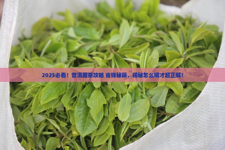 普洱怎么购买藏和保存好喝一点