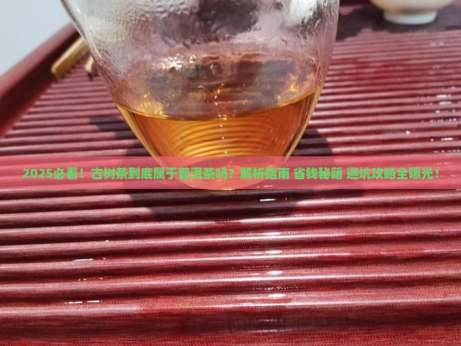 古树茶属于普洱茶