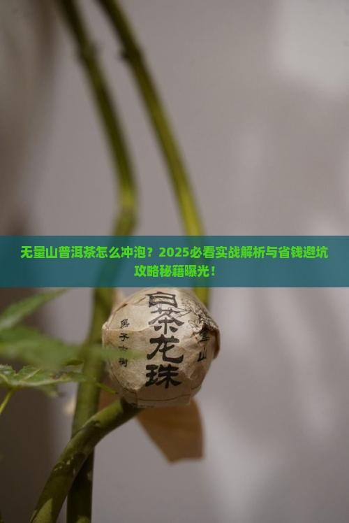 无量山普洱茶怎么冲泡