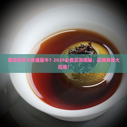 普洱茶最大的品牌是什么