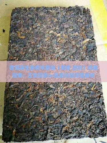 普洱茶生茶有木香味