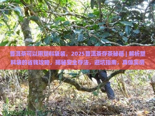 普洱茶可以用塑料袋装
