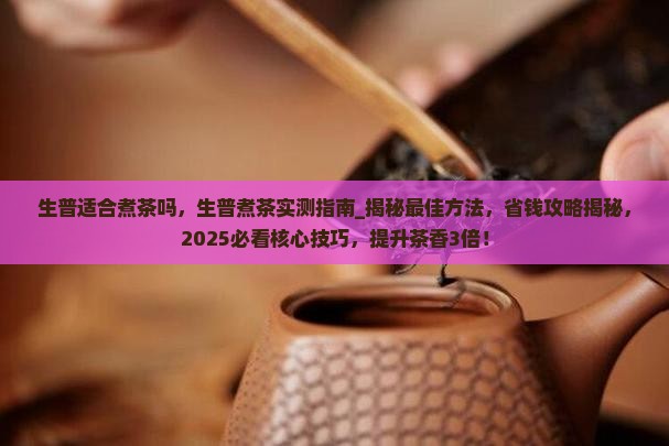 生普适合煮茶吗