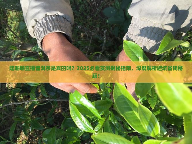 陆珊珊直播普洱茶是真的吗
