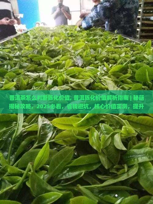 普洱茶怎么判断陈化价值